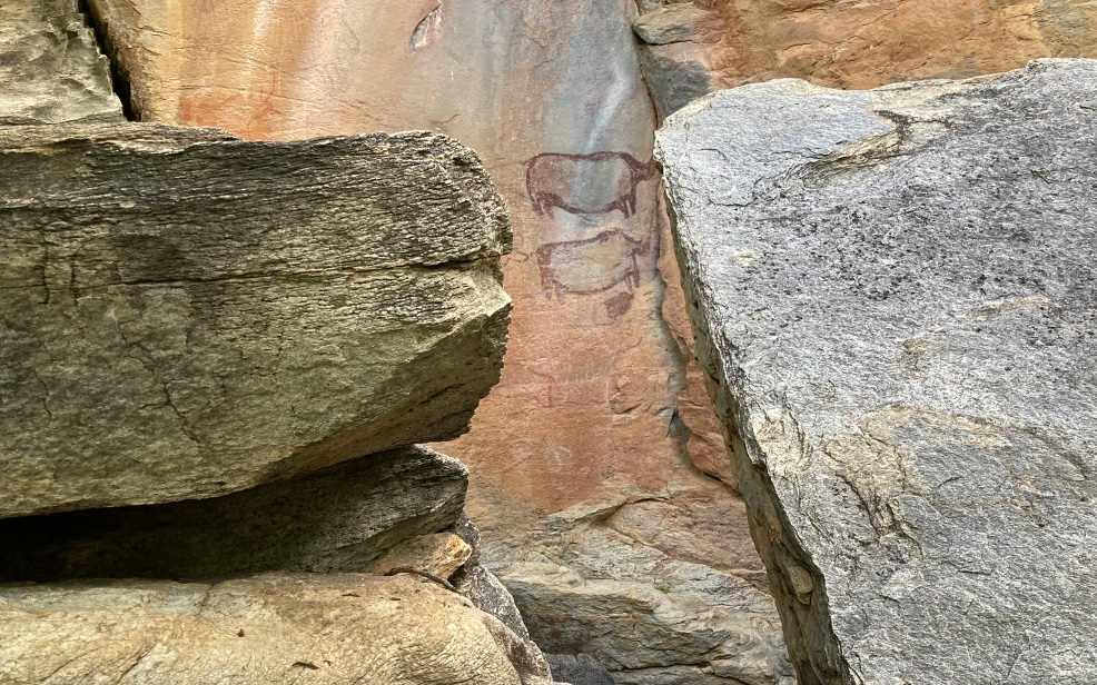 Tsodilo Hills, Ancient Rock Paintings & Elephants