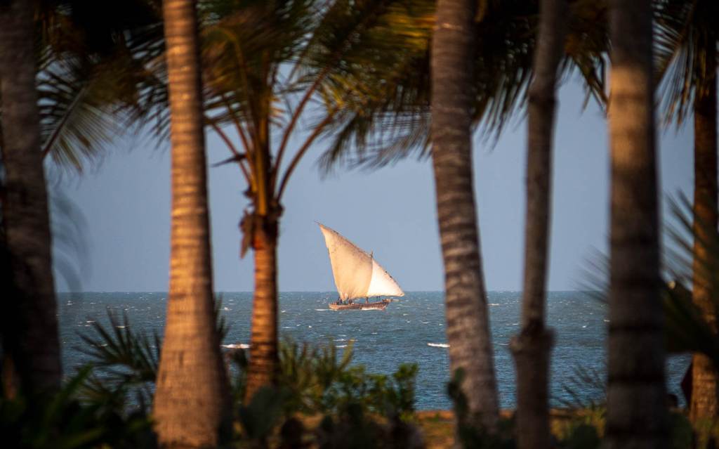 Bagamoyo, Palm Trees & Dhows